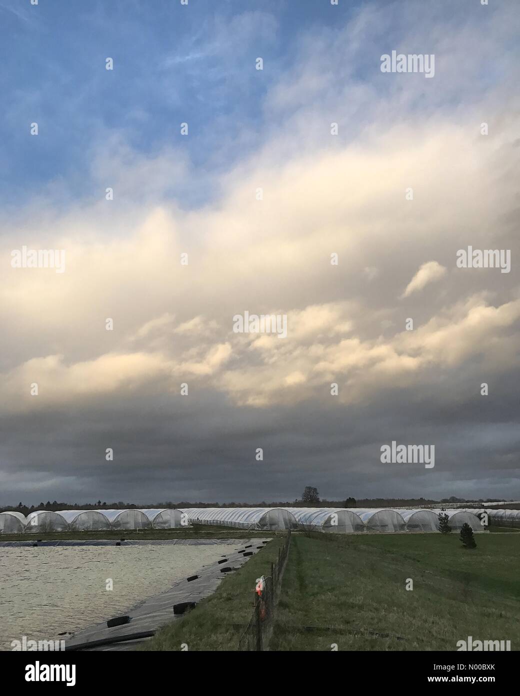 Tuesley Ln, Godalming, UK. 19th Mar, 2017. UK Weather: Stormy in Godalming. Tuesley Farm, Godalming. 19th March 2017. The remnants of Storm Stella hit the Home Counties today bringing tempestuous weather. Storm clouds over Godalming in Surrey. Credit: jamesjagger/StockimoNews/Alamy Live News Stock Photo