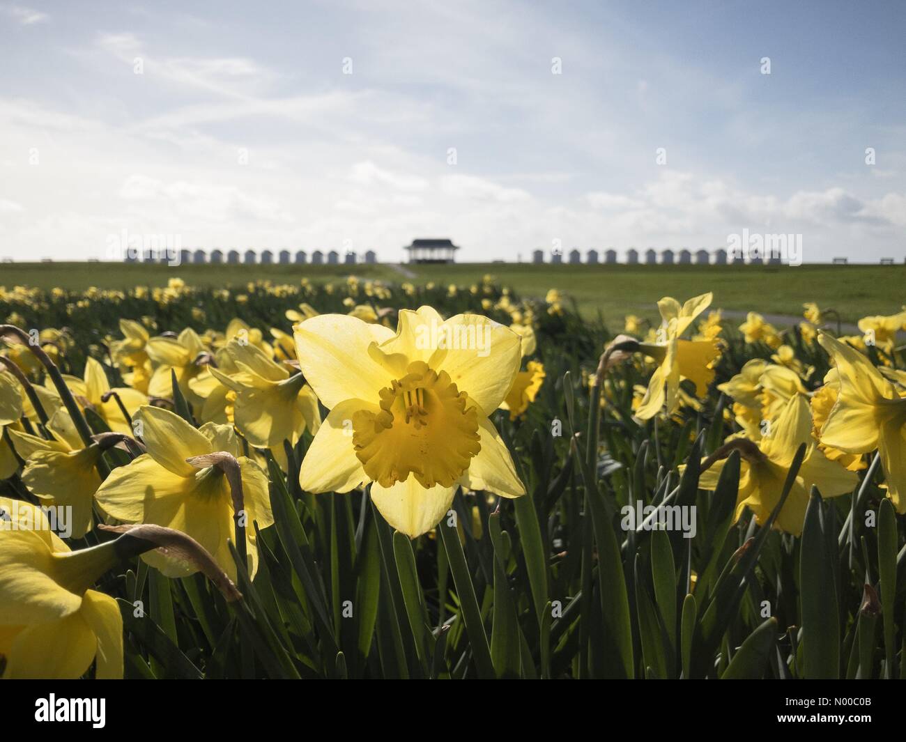 Goring by sea hires stock photography and images Alamy