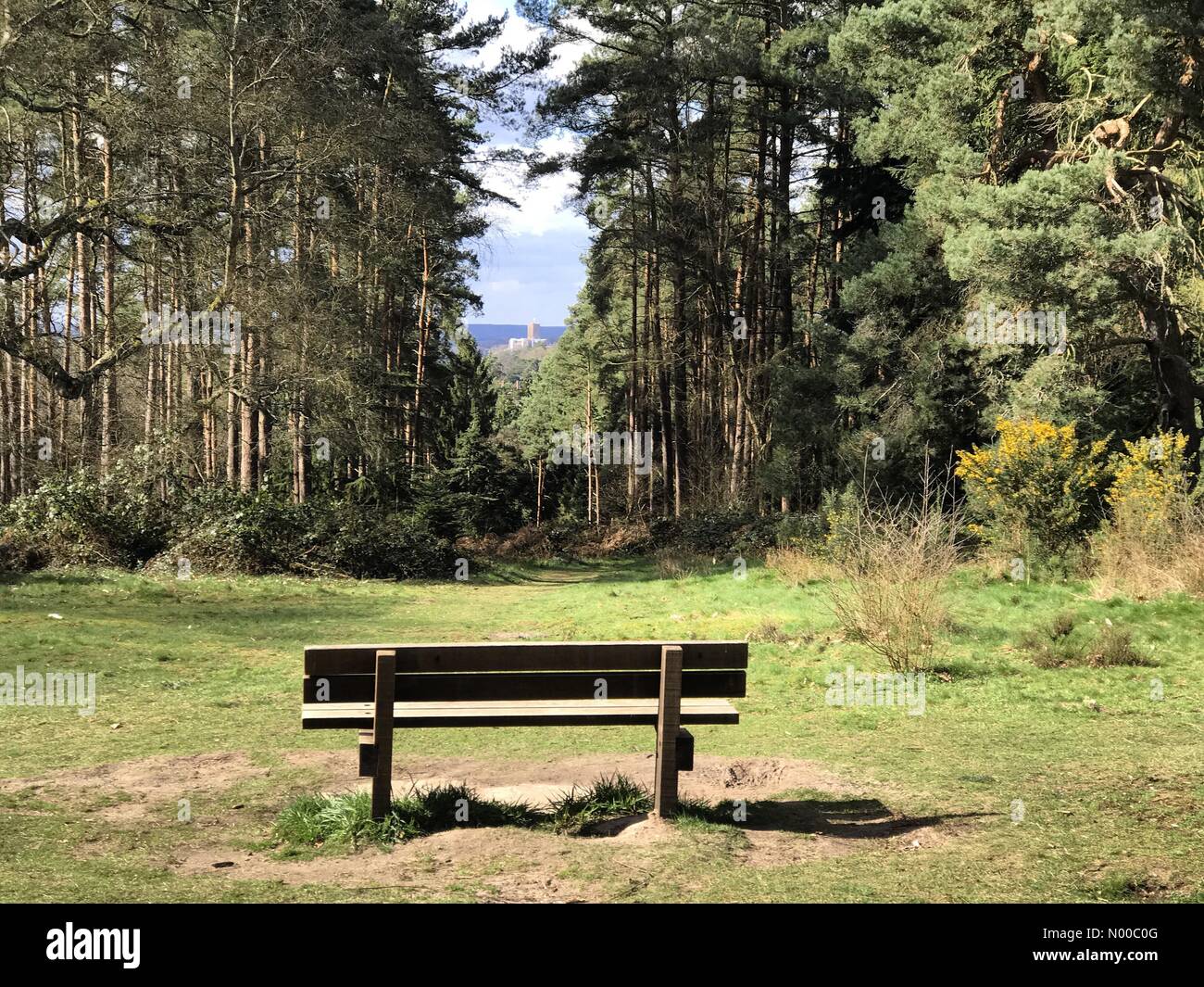 E Shalford Ln, Guildford, UK. 21st Mar, 2017. E Shalford Ln, Guildford