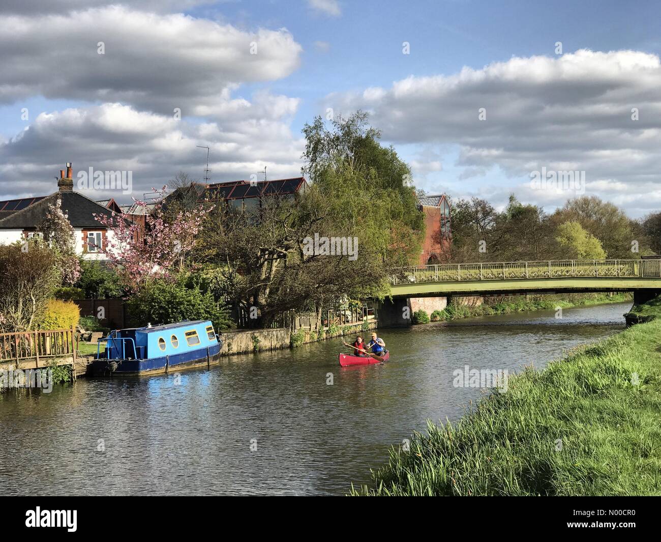 Shalford hires stock photography and images Alamy