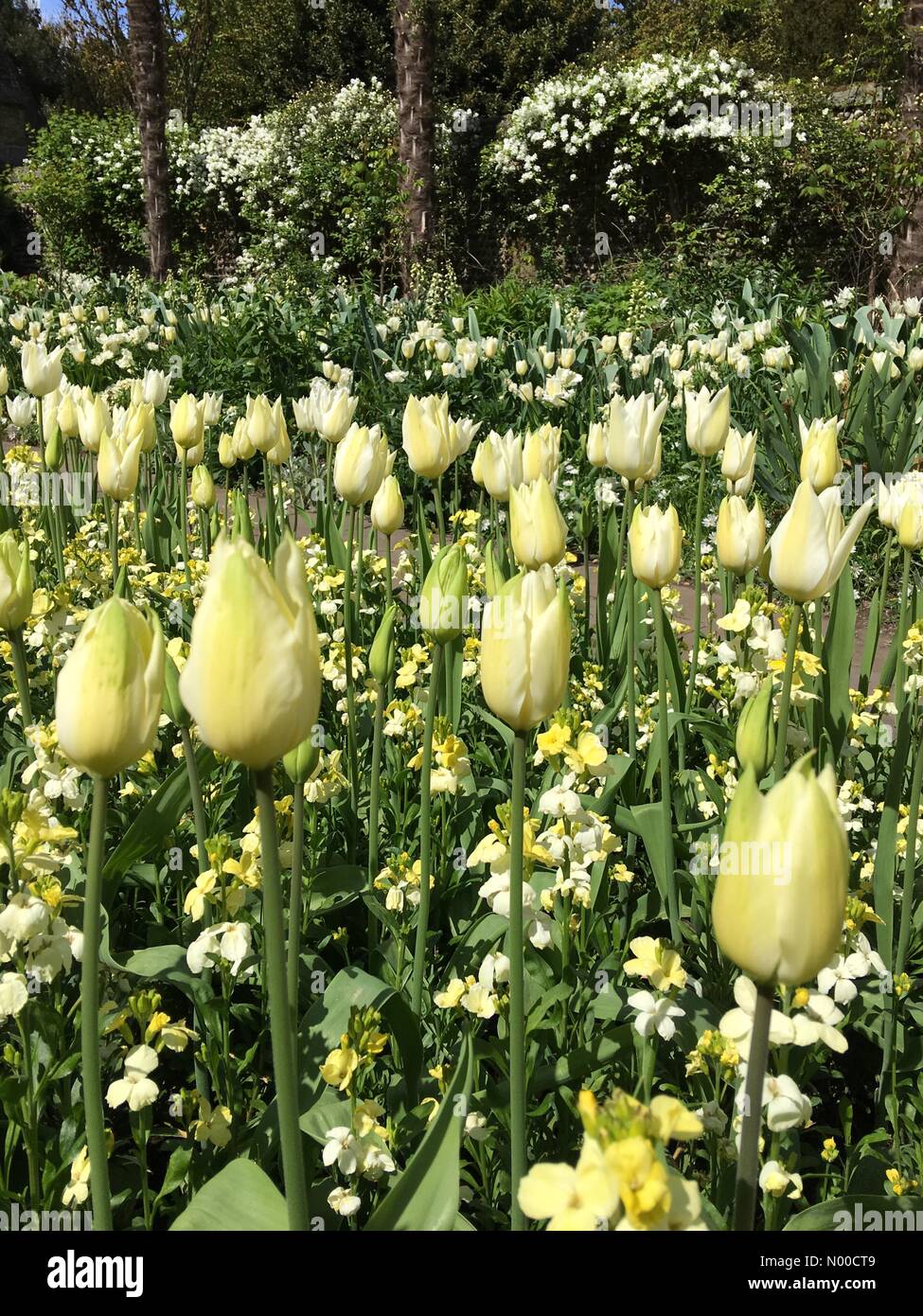 St Wilfreds Arundel Priory, London Rd, Arundel, UK. 16th Apr, 2017
