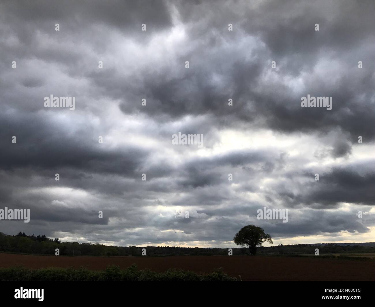 Elstead Rd, Farnham, UK. 16th Apr, 2017. UK Weather: Rain clouds over Seale. Elstead Rd, Farnham. 16th April 2017. Rainfall over the Home Counties on Easter Sunday afternoon. Sunbeams over the Hog's Back in Seale, Surrey. Credit: jamesjagger/StockimoNews/Alamy Live News Stock Photo
