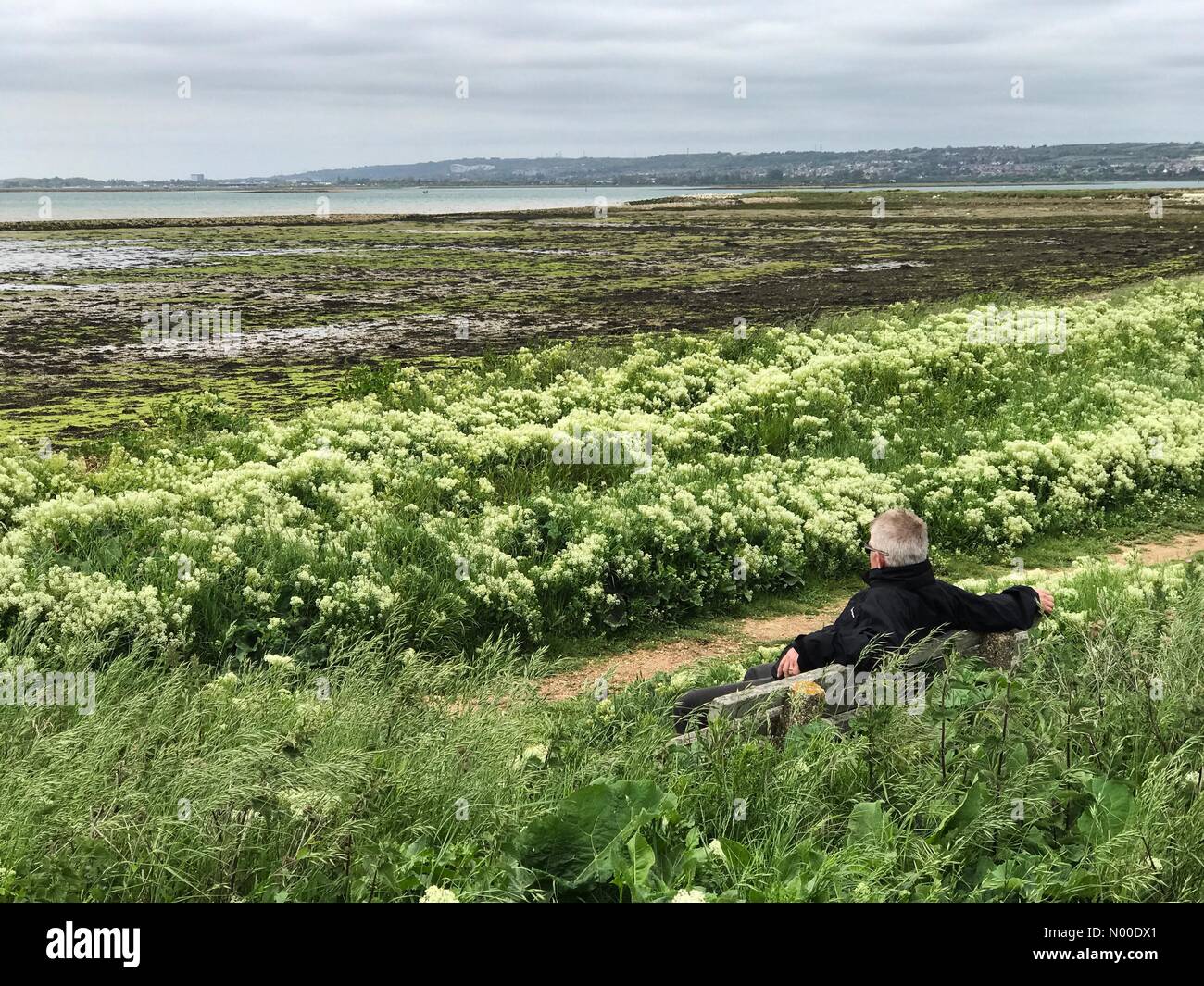 Mild as may hires stock photography and images Alamy