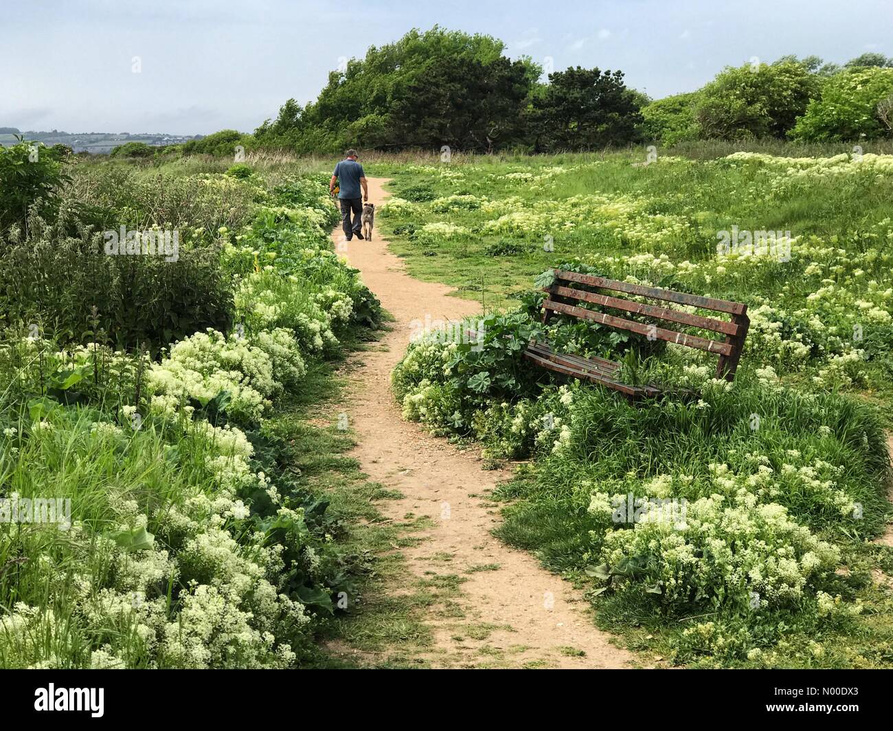 Hayling Island, UK. 16th May, 2017. UK Weather Cloudy at Hayling