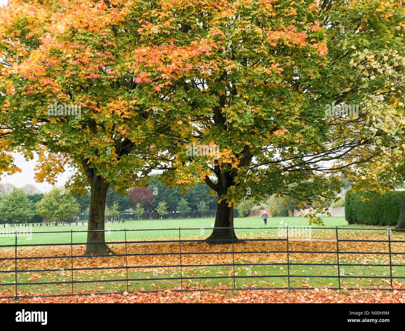 Warm and humid weather hires stock photography and images Alamy