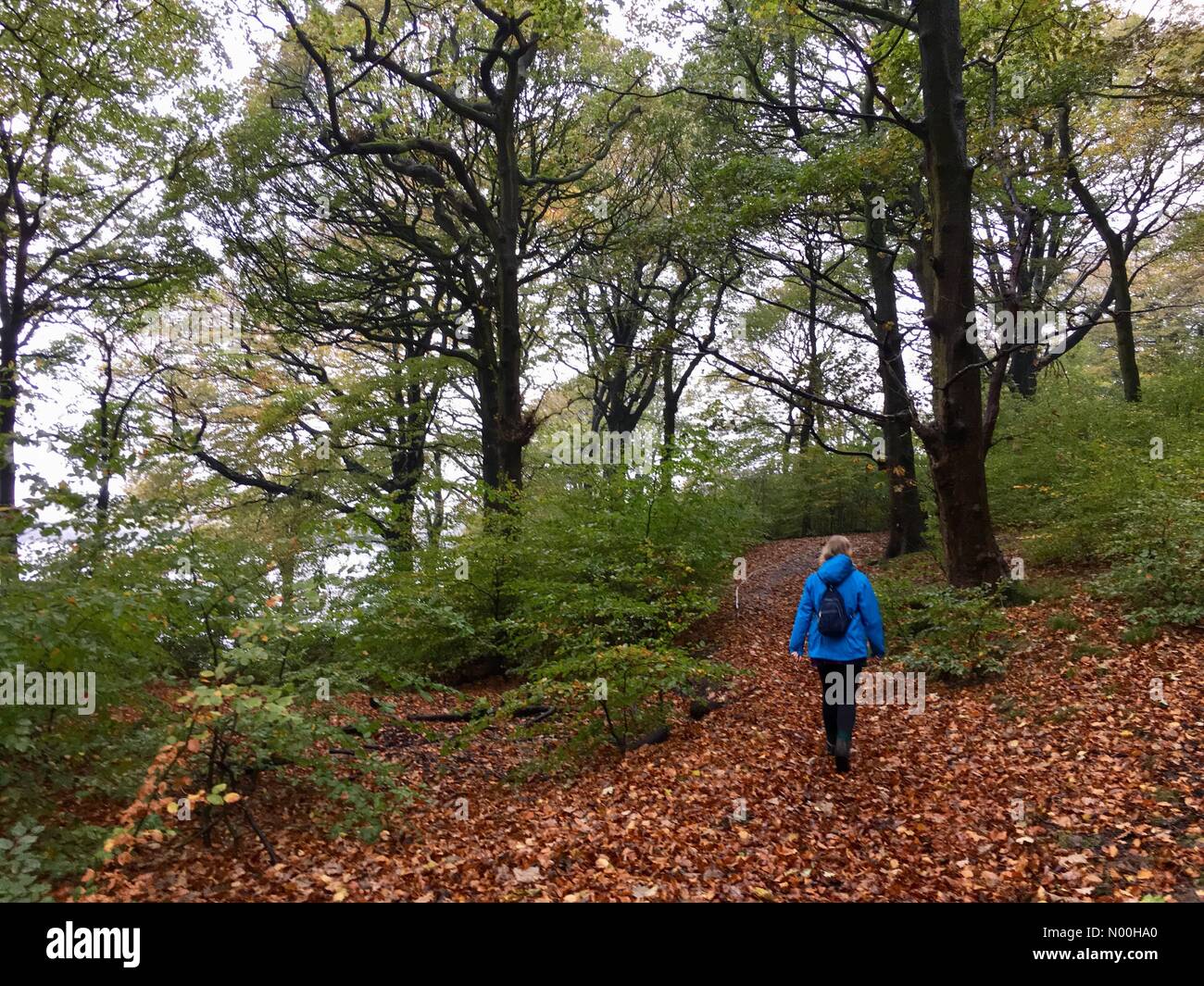 UK Weather: Overcast and drizzle in Chorley, Lancashire. Walking in Anglezarke near Chorley on a dull and damp Autumn dayovercast Stock Photo