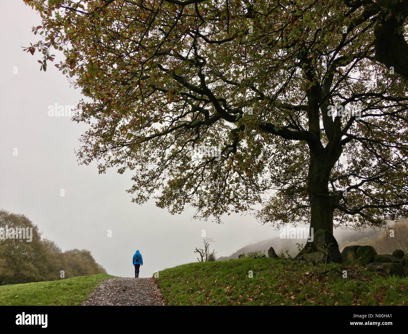UK Weather: Overcast and drizzle in Chorley, Lancashire. Walking in Anglezarke near Chorley on a dull and damp Autumn day Stock Photo