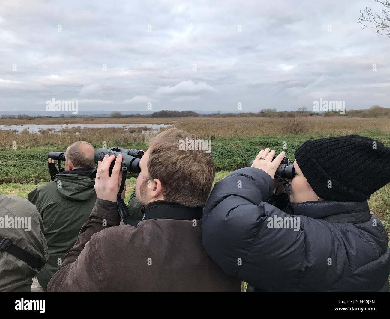 UK Weather: 04 Dec 2017 Dull & cloudy end to the day at Avalon Marshes, Somerset, UK. Twitchers gather to watch the starling murmuration as over a million birds come in to roost in the reed beds. Stock Photo