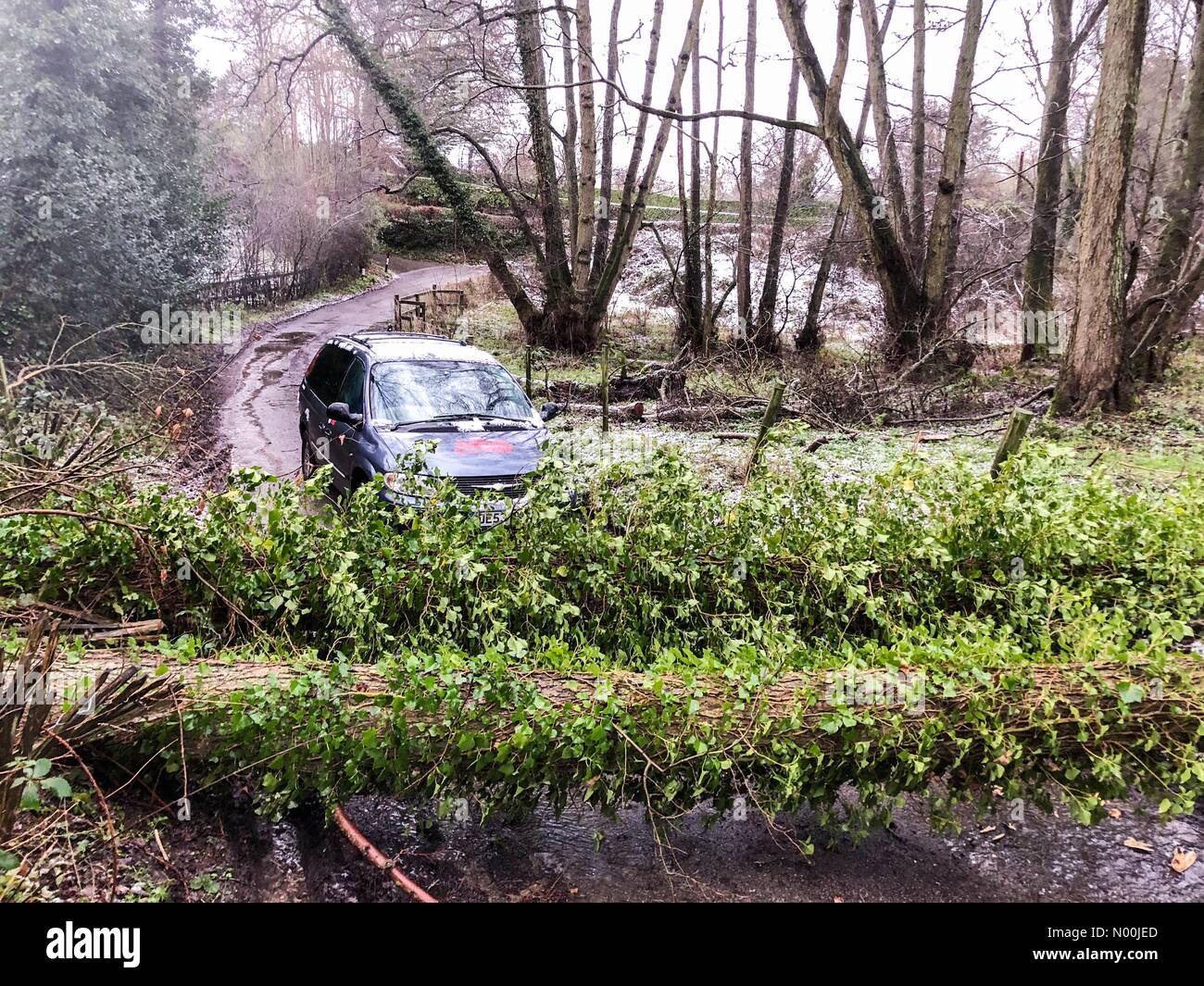 Guildford, UK. 27th Dec, 2017. UK Weather: Snowfall in Godalming. Thorncombe St, Godalming. 27th December 2017. Gale force northerly winds brought dangerous driving conditions today. A blocked road due to a fallen tree in Godalming Credit: jamesjagger/StockimoNews/Alamy Live News Stock Photo