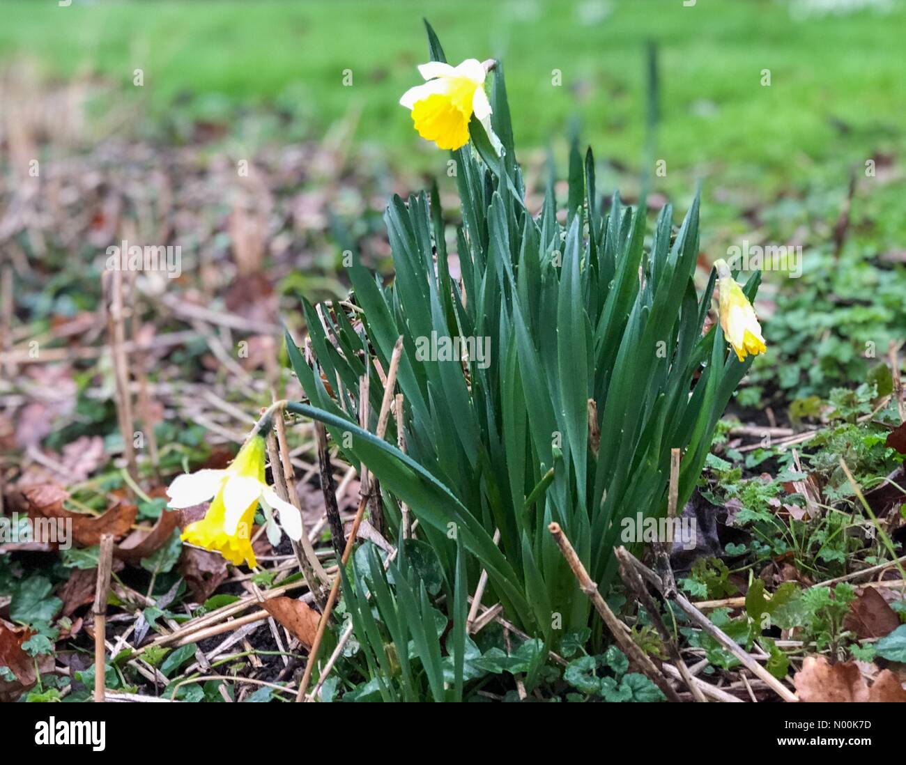Farnham road hires stock photography and images Alamy