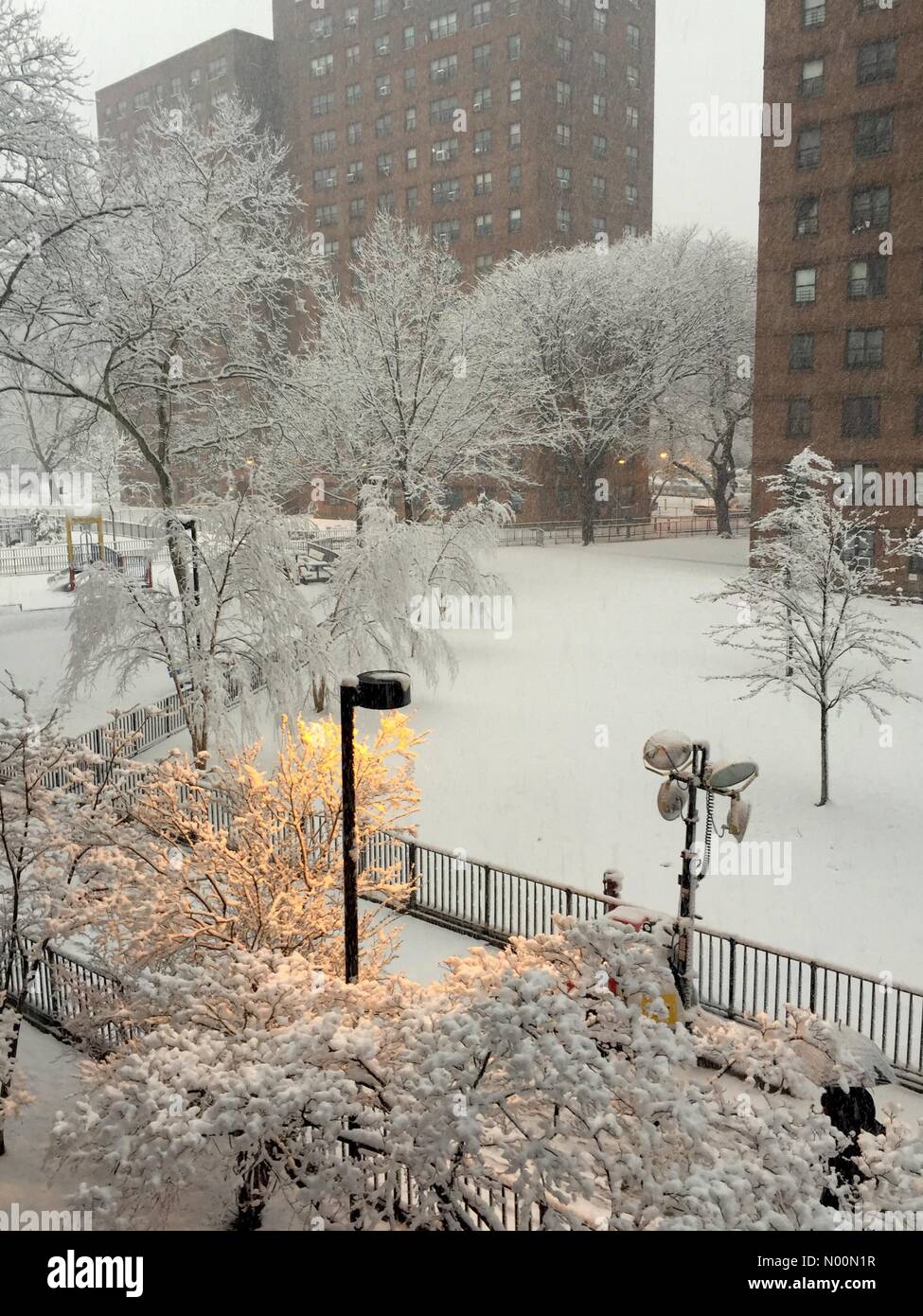 Lit streetlight highlights snow falling hires stock photography and