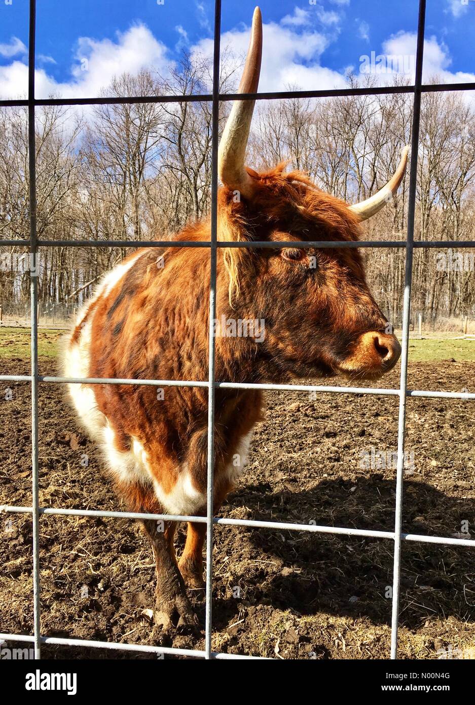 Sunny Spring Day at the Zoo, Oconomowoc, WI USA, 6th April 2018, Barn