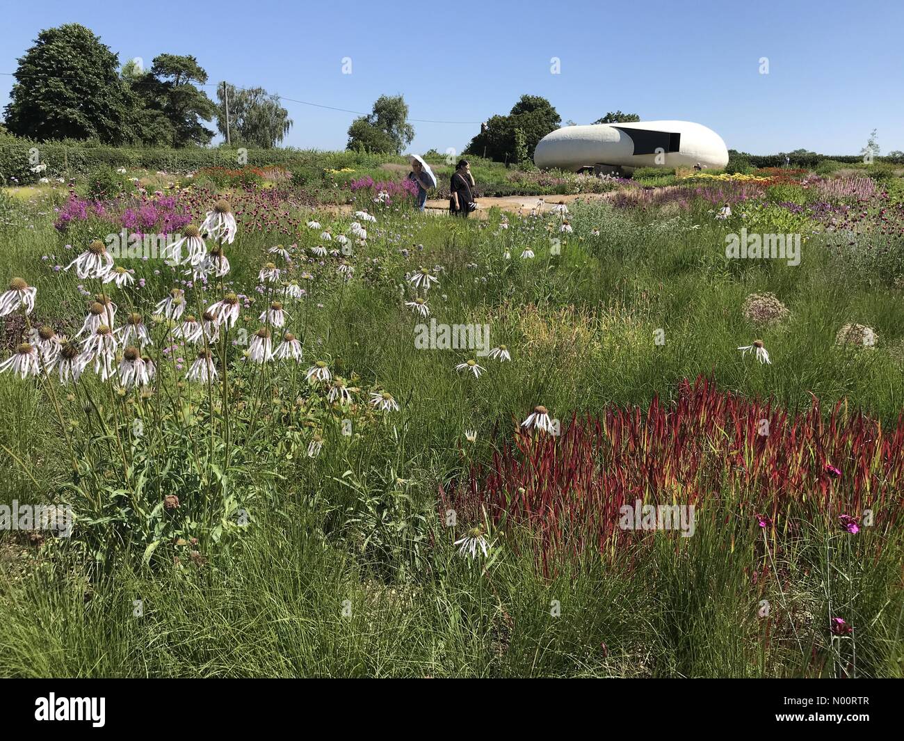 Somerset, UK, 30 June 2018. UK Weather : The heatwave continues as people enjoy the sizzling sunshine in Oudolf Field, designed by Piet Oudolf, Hauser & Wirth, Bruton, Somerset, England Credit: Josie Elias/StockimoNews/Alamy Live News Stock Photo