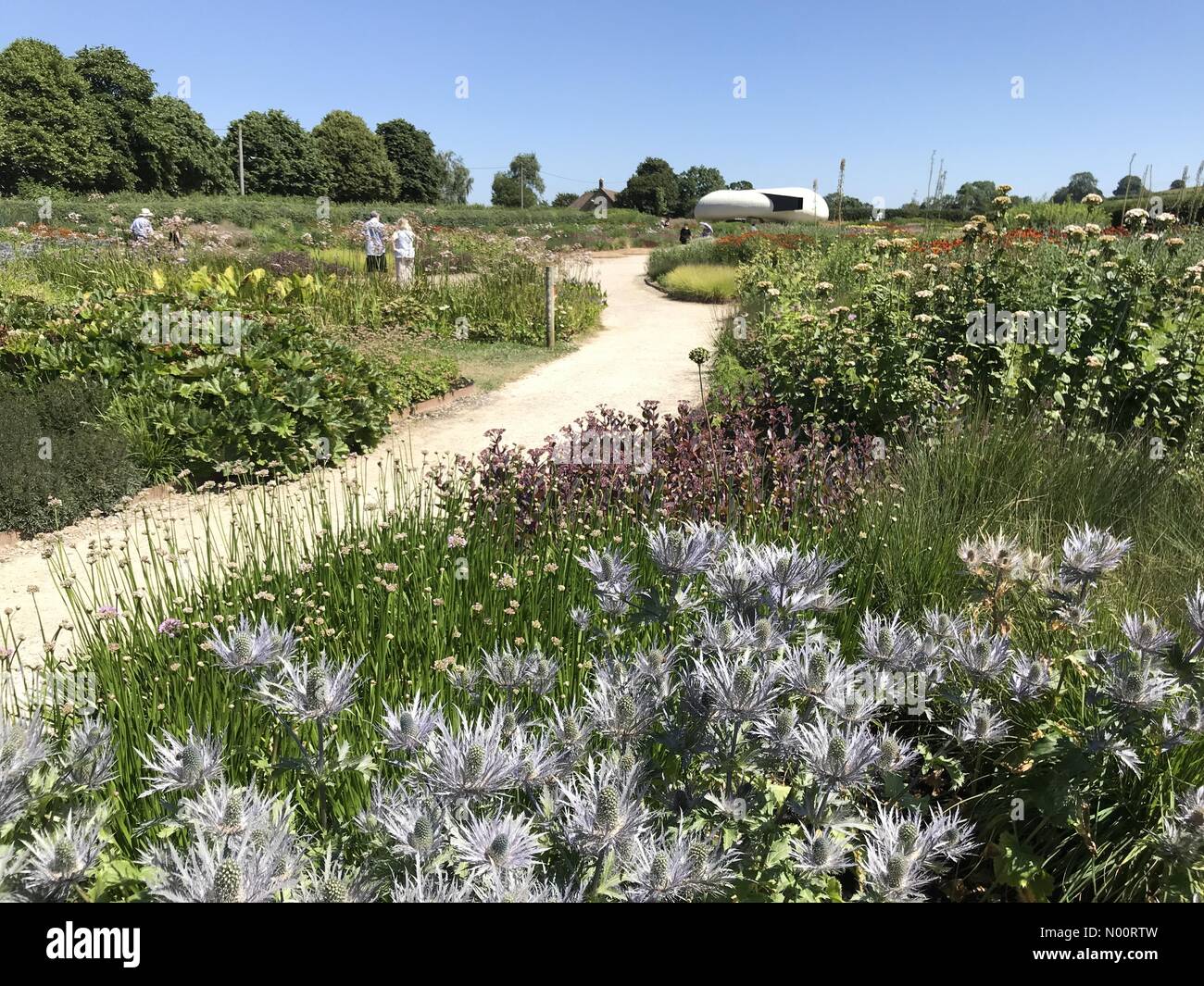 Somerset, UK, 30 June 2018. UK Weather : The heatwave continues as people enjoy the sizzling sunshine in the beautiful Oudolf Field, designed by Piet Oudolf, Hauser & Wirth, Bruton, Somerset, England Credit: Josie Elias/StockimoNews/Alamy Live News Stock Photo