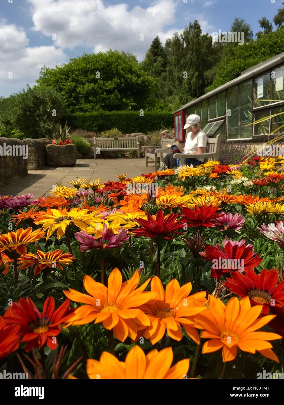 Golden acre park hi-res stock photography and images - Alamy