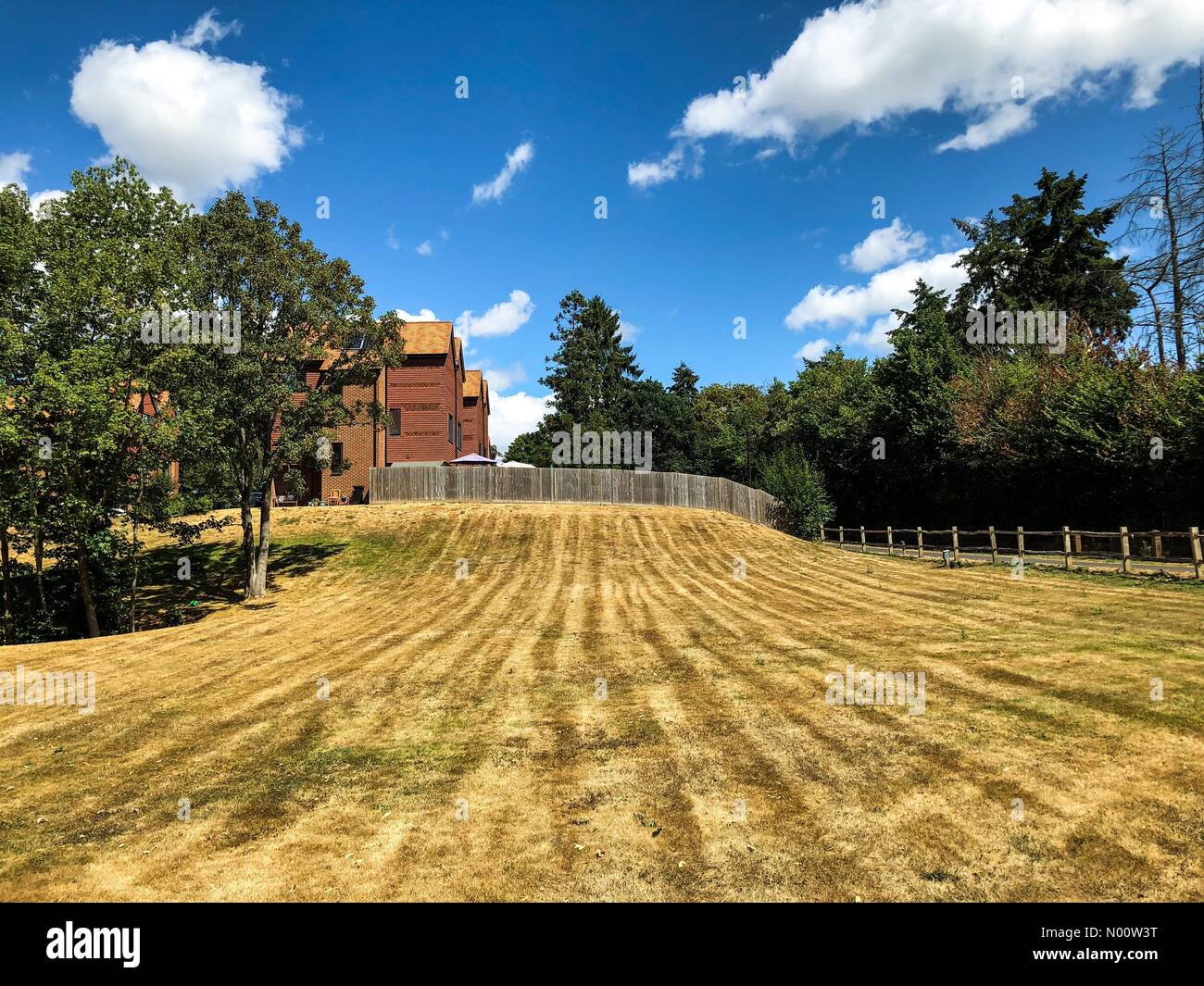 Godalming, UK. 28th July, 2018. UK Weather: Water shortages in Godalming. Sycamore Avenue, Godalming. 28th July 2018. Despite heavy rainfall overnight, water supplies remain critical. Parched lawns in Godalming, Surrey. Credit: jamesjagger/StockimoNews/Alamy Live News Stock Photo