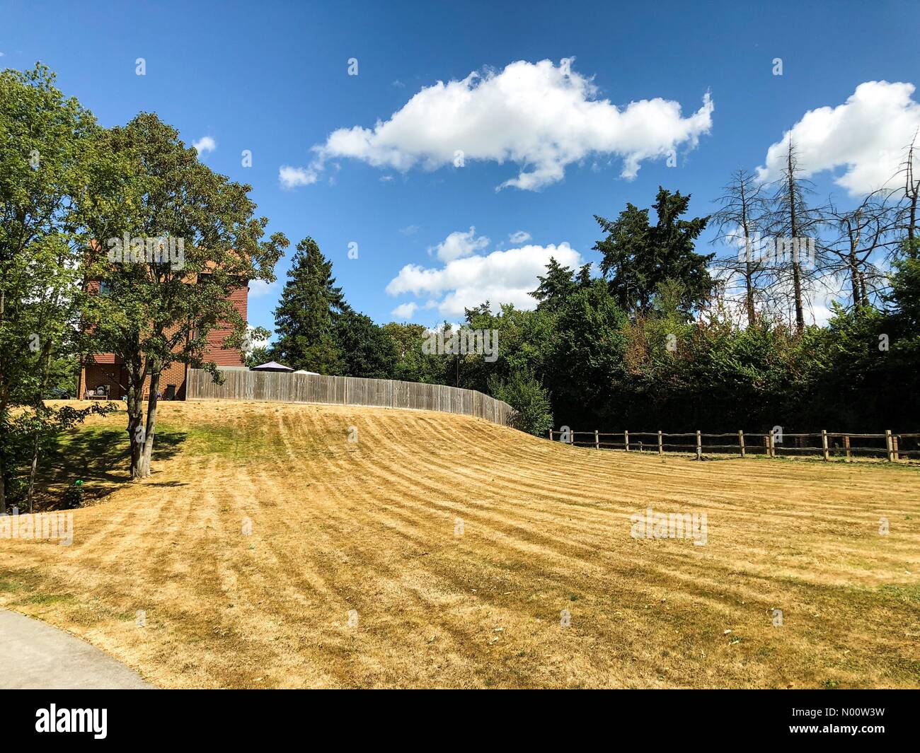 Godalming, UK. 28th July, 2018. UK Weather: Water shortages in Godalming. Sycamore Avenue, Godalming. 28th July 2018. Despite heavy rainfall overnight, water supplies remain critical. Parched lawns in Godalming, Surrey. Credit: jamesjagger/StockimoNews/Alamy Live News Stock Photo