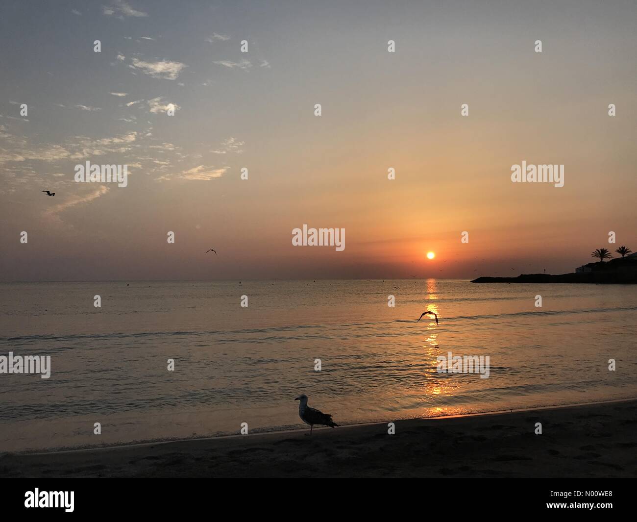 Ea Spain Weather Another Day Of Sizzling 36c Temperatures Forecast As The Sun Rises On The Arenal Beach Inea On The Costa Blanca Ea Spain Weather Another Day Of Sizzling 36c Temperatures Forecast As The Sun Rises On The Arenal Beach Inea On The Costa Blanca
