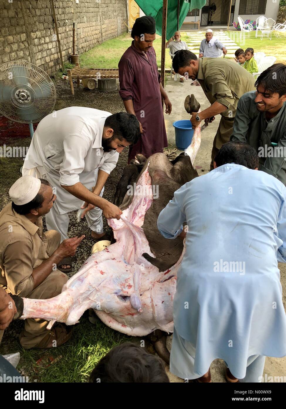 Kpk Stock Photos & Kpk Stock Images - Alamy