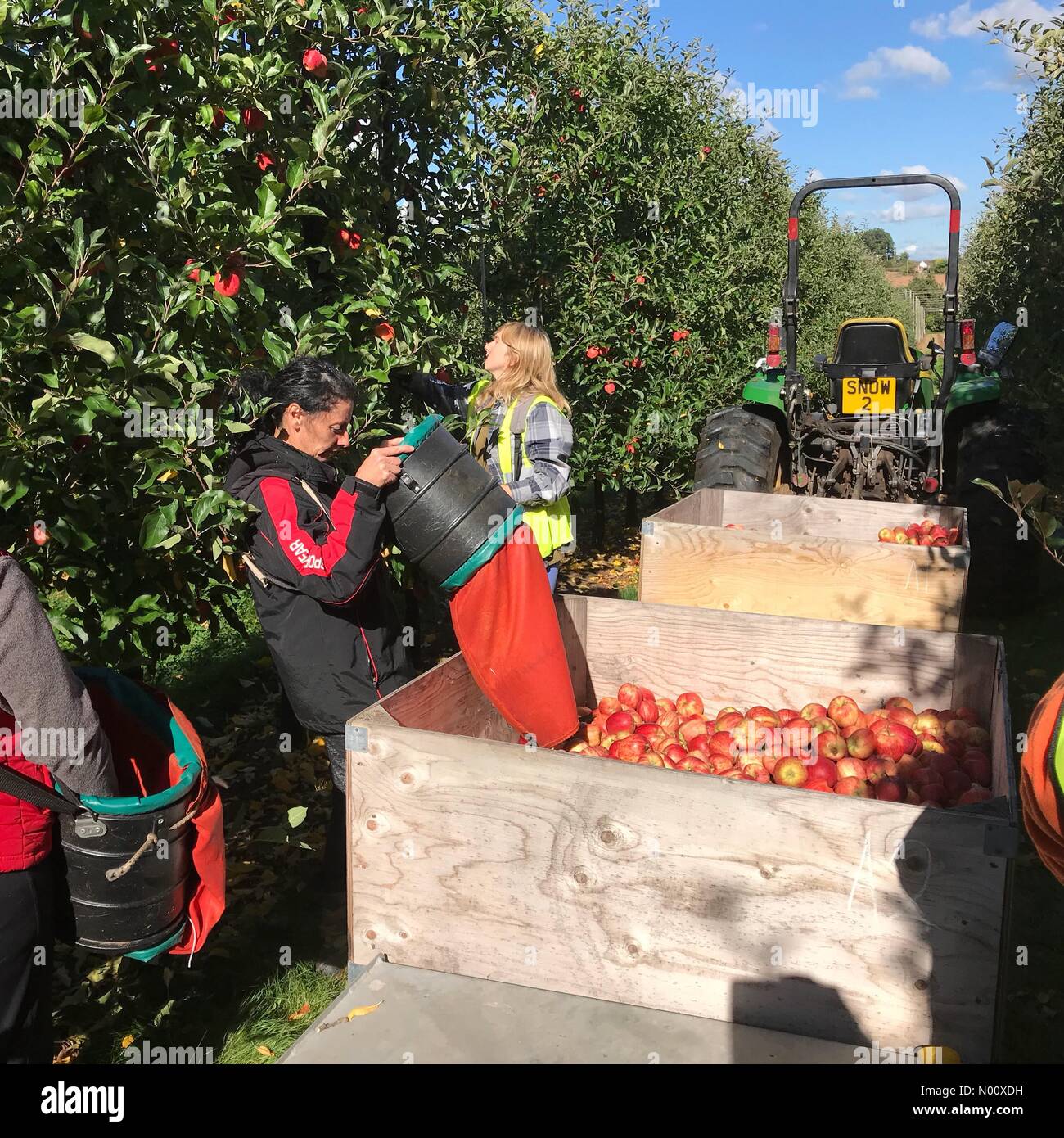 Pickers workers uk hires stock photography and images Alamy