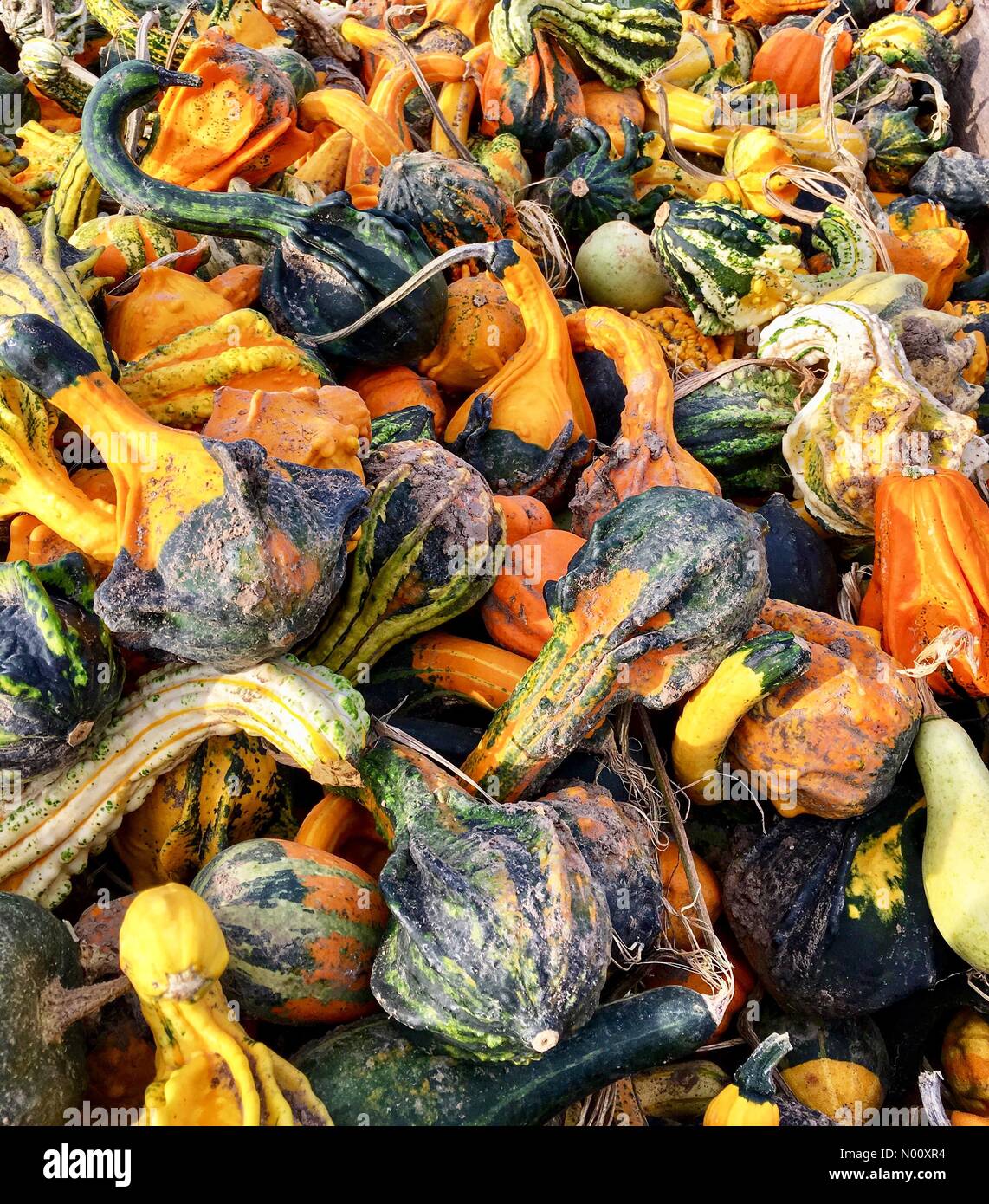 Cozy nook annual farm market hi-res stock photography and images - Alamy