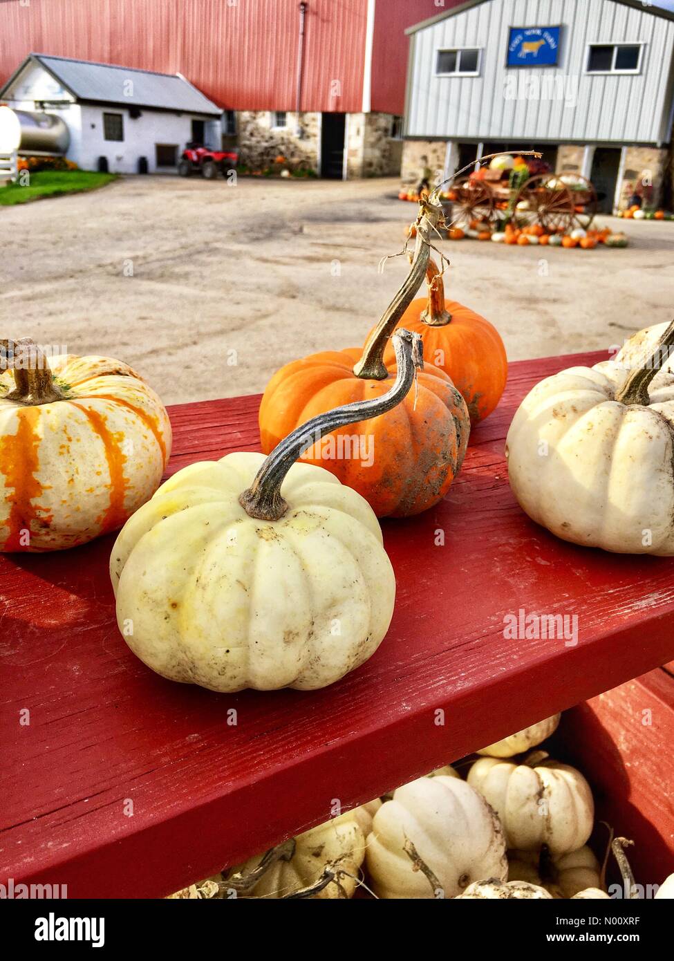 Cozy Nook Annual Farm Market, Waukesha, USA. 9th Oct 2018. 9th October ...