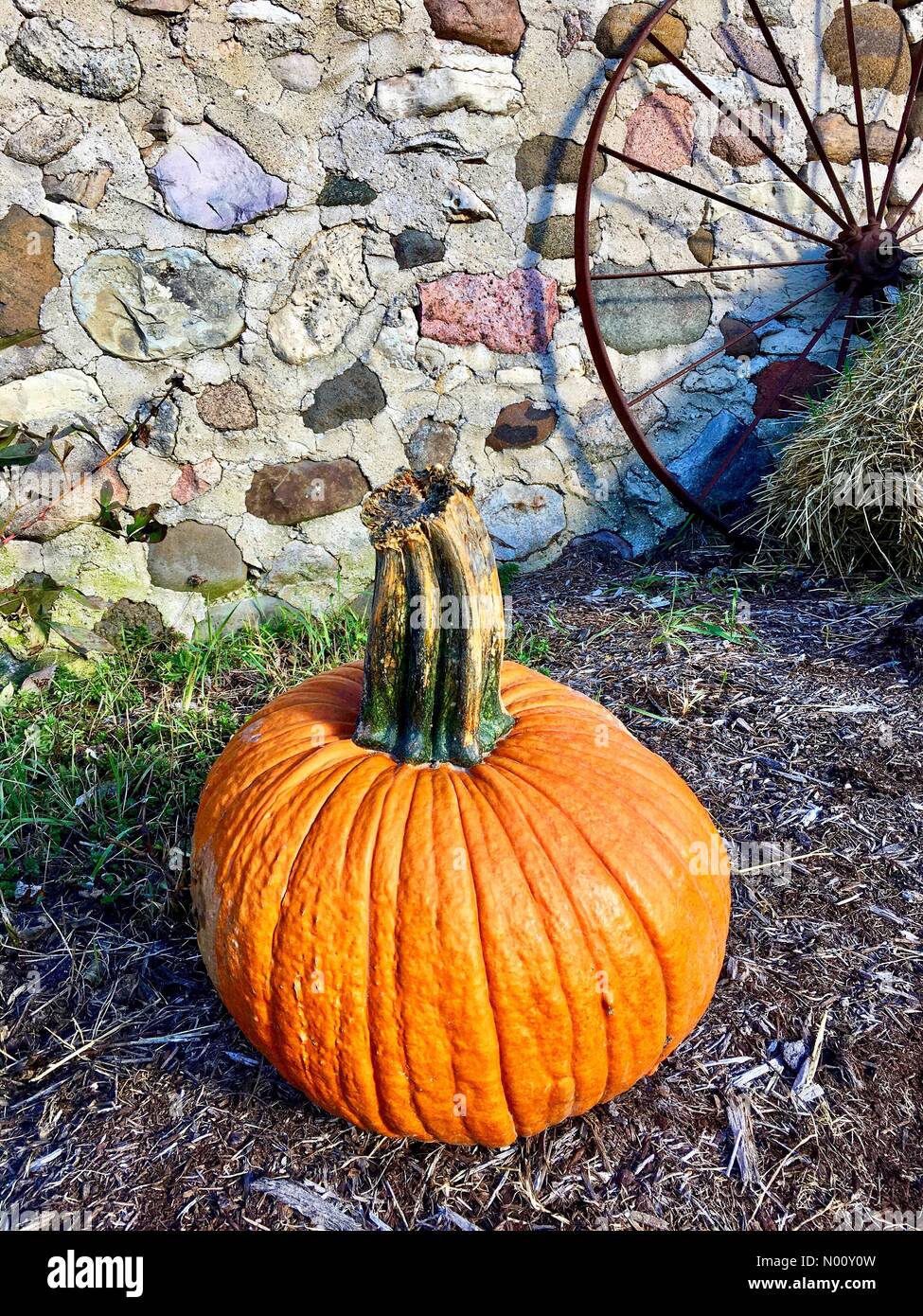 Mukwonago, USA. 15th Oct 2018. Schuett Farms Holds Annual Fall