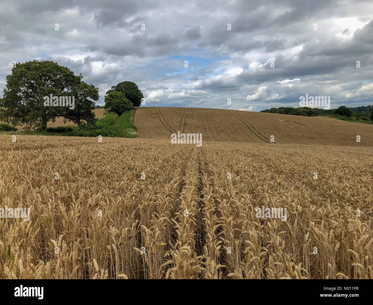 East shalford hires stock photography and images Alamy