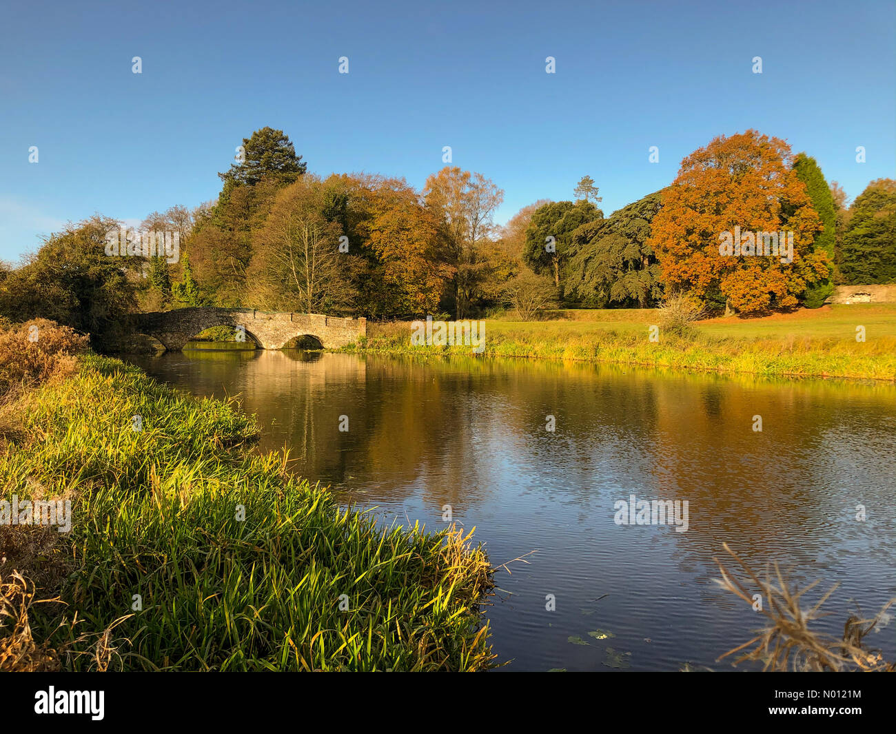 Waverley Abbey, Farnham, Surrey, UK. 11th November 2019. A beautiful