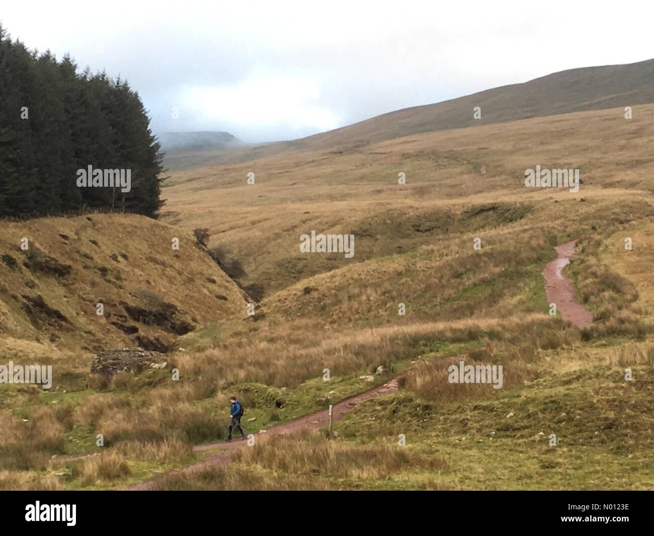 Storey arms brecon hires stock photography and images Alamy