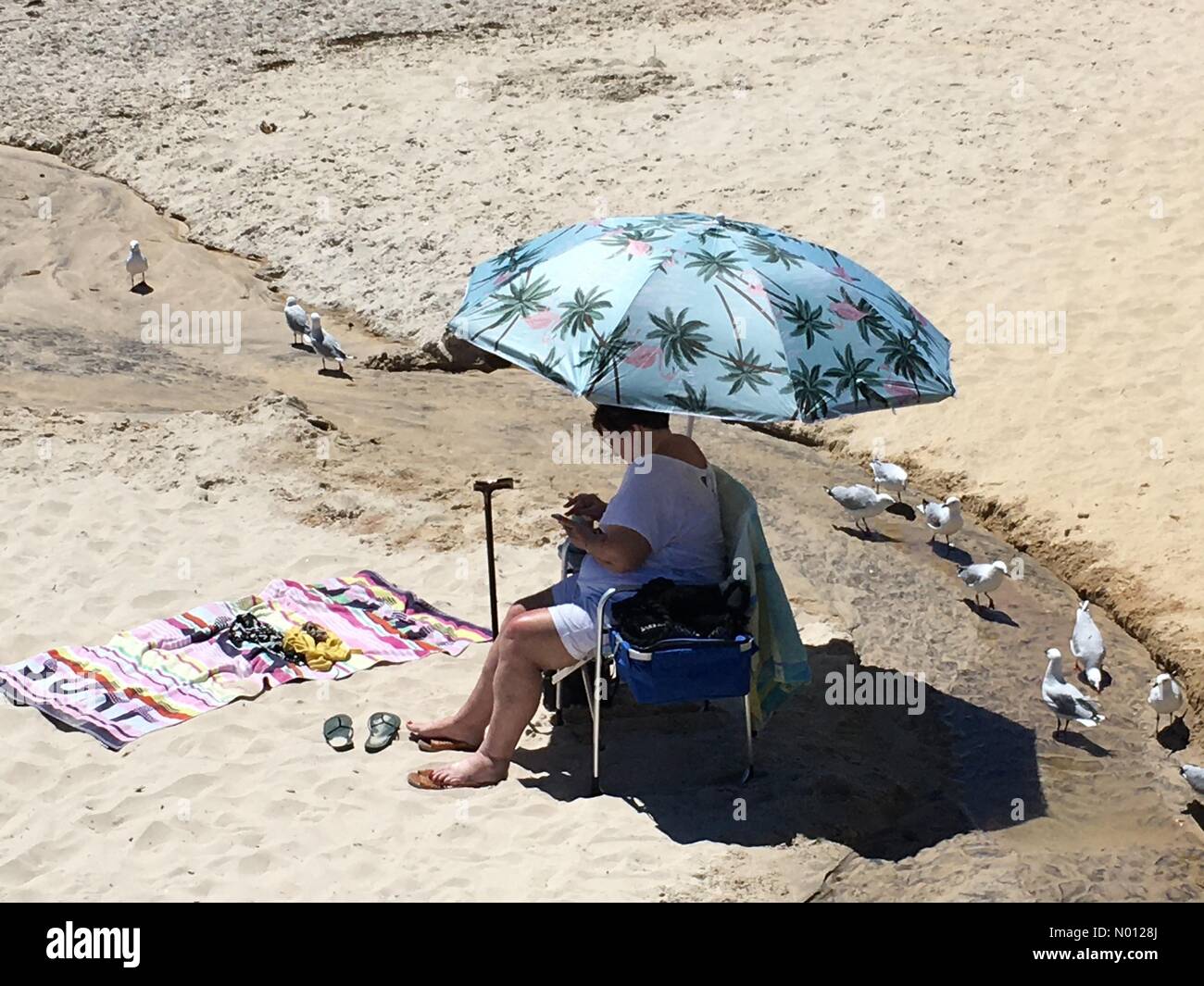 Adelaide, Australia. 13th Jan 2020. Beachgoers embrace hot sunshine in Adelaide, Australia. Beachgoers, Adelaide, Australia Credit: amer ghazzal/StockimoNews/Alamy Live News Stock Photo