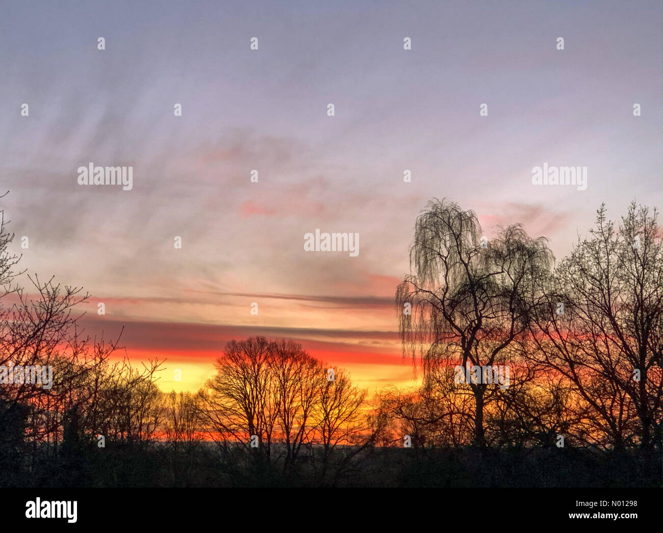 UK Weather: Sunset over Godalming. Sycamore Avenue, Godalming. 18th January 2020. A beautiful end to the day for the Home Counties. Sunset over Tuesley Farm in Godalming, Surrey. Credit: jamesjagger/StockimoNews/Alamy Live News Stock Photo
