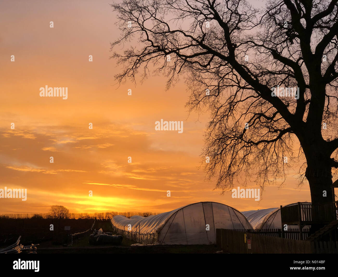Godalming, Surrey. 20th Feb 2021. UK Weather: Sunrise over Godalming. Tuesley Farm, Godalming. 20th February 2021. A beautiful start to the day for the Home Counties. Sunrise over Tuesley Farm in Godalming, Surrey. Credit: jamesjagger/StockimoNews/Alamy Live News Stock Photo