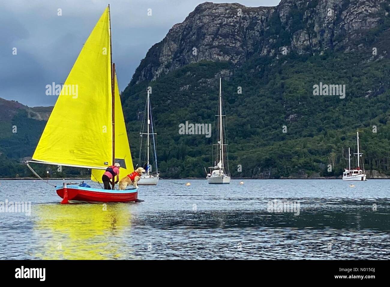 Plockton Scotland UK 19th Aug 2021 One Man And His Dog and His Boat plockton-scotland-uk-19th-aug-2021-one-man-and-his-dog-and-his-boat