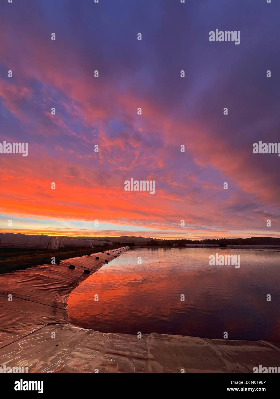 UK Weather: Sunrise over Godalming. Tuesley Farm, Godalming. 22nd November 2023. A cold but clear start to the day for the Home Counties. Sunrise over Tuesley Farm in Godalming, Surrey. Credit: jamesjagger/StockimoNews/Alamy Live News Stock Photo