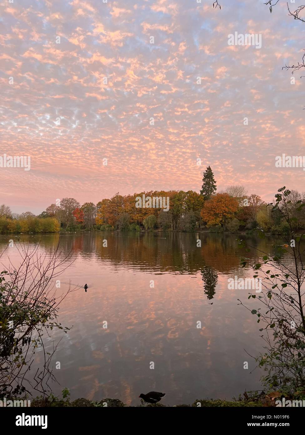 UK Weather Sunrise over Godalming. Broadwater Lake, Godalming. 23rd