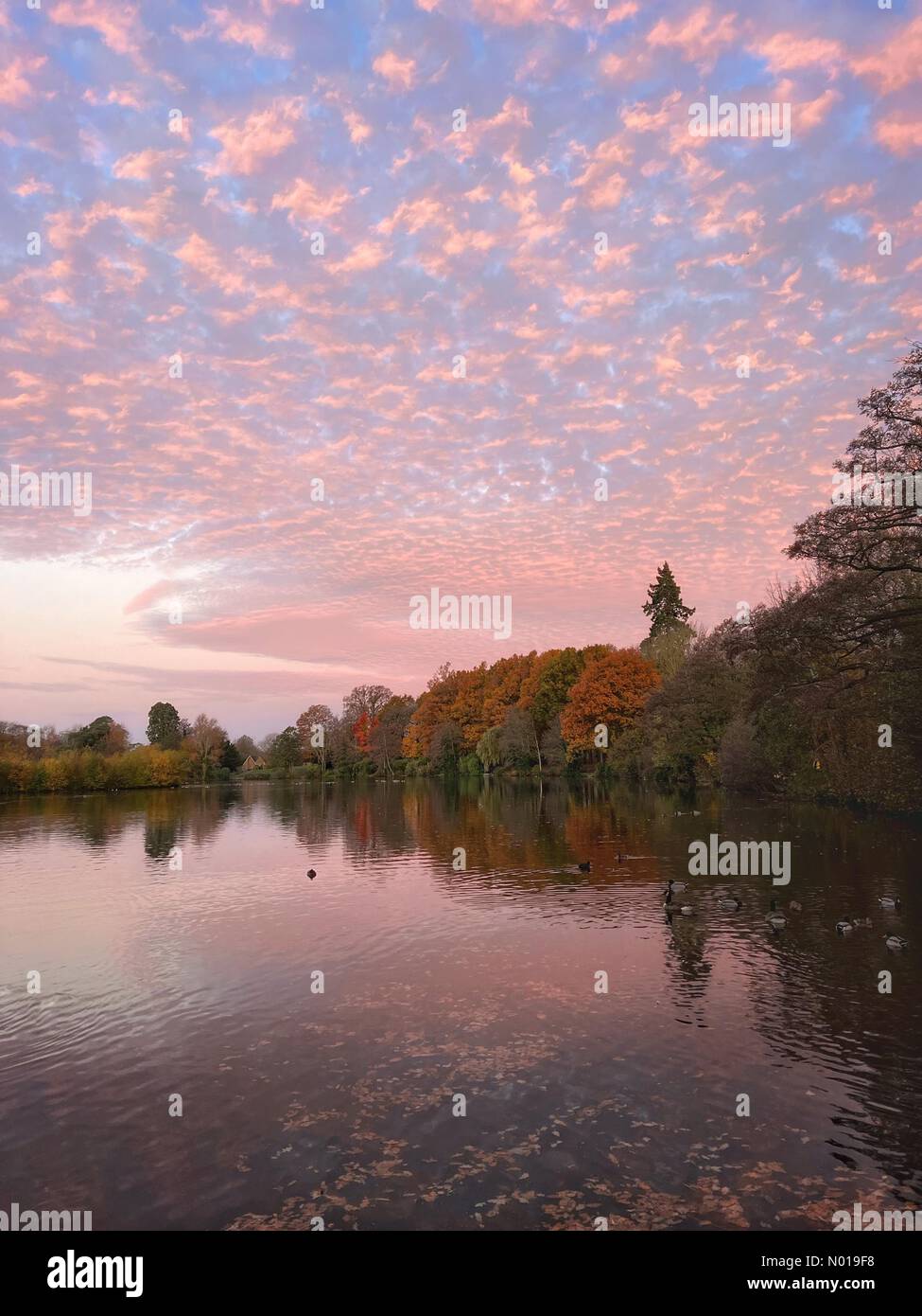 UK Weather Sunrise over Godalming. Broadwater Lake, Godalming. 23rd