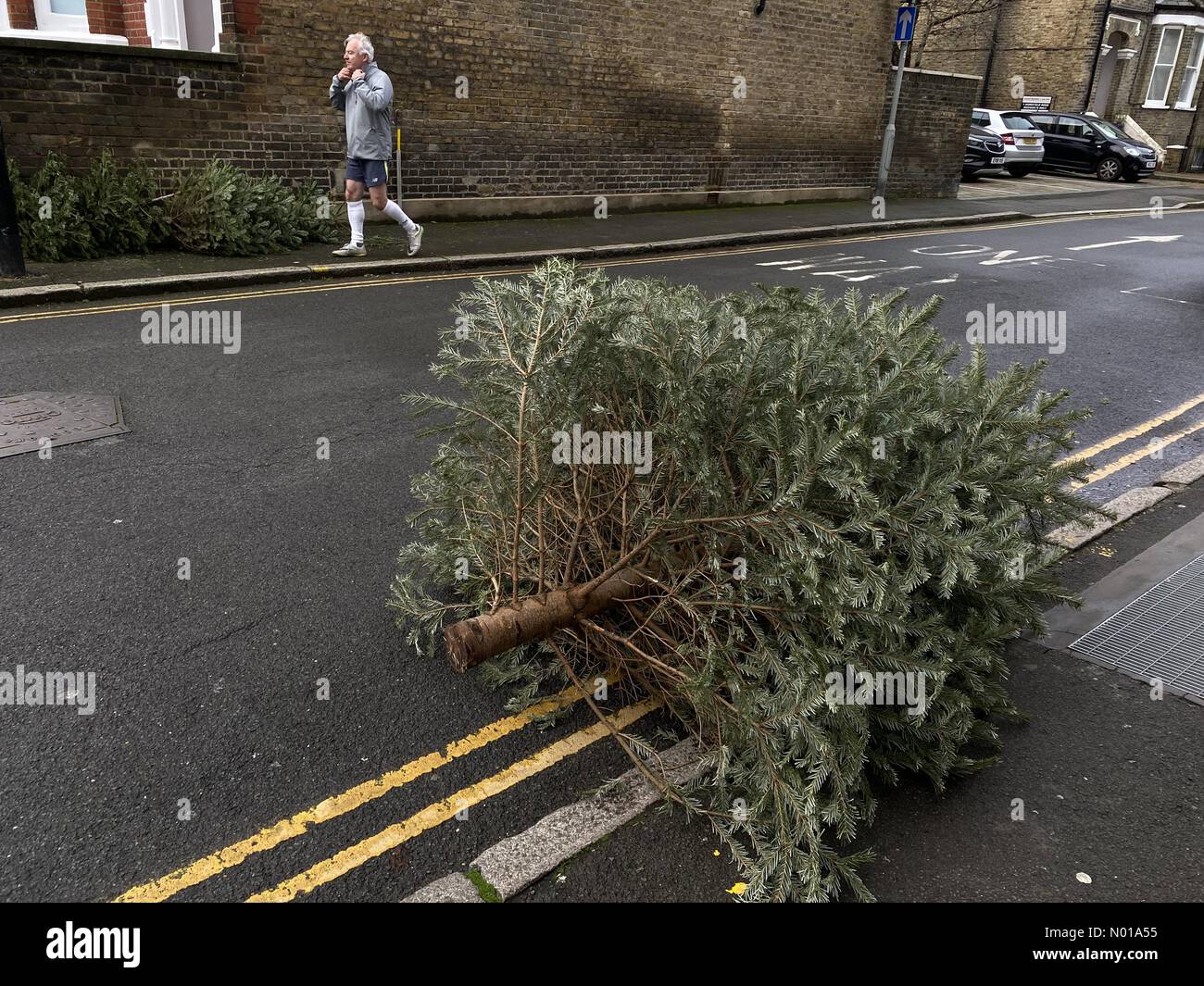Wimbledon London, UK 6 January 2024. Discarded Christmas trees