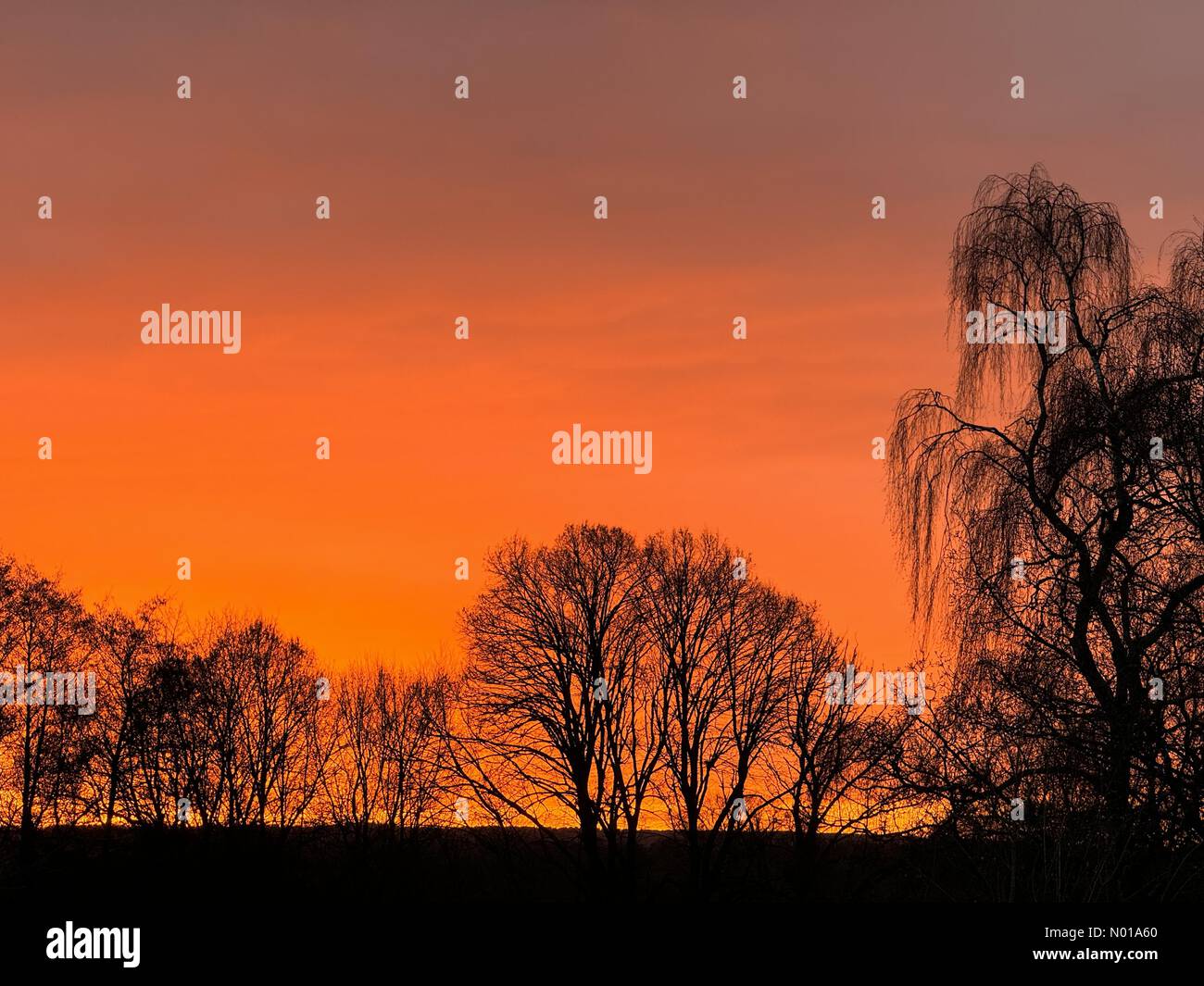 UK Weather Sunset over Godalming. Marsh Farm, Godalming. 07th January