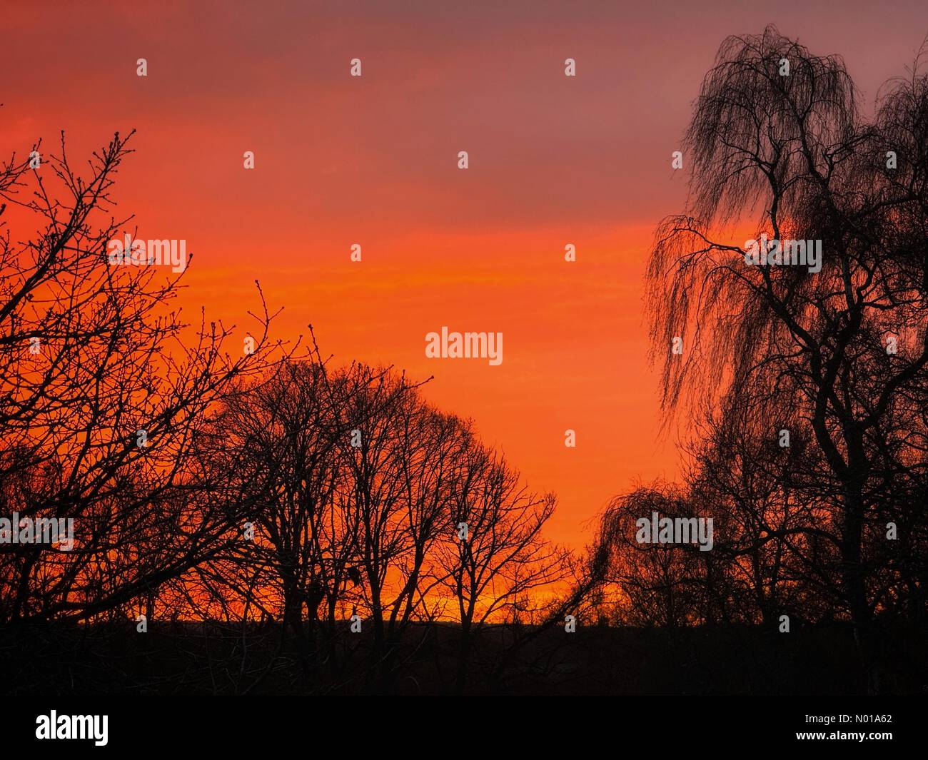 Cold weather 2024 hires stock photography and images Alamy