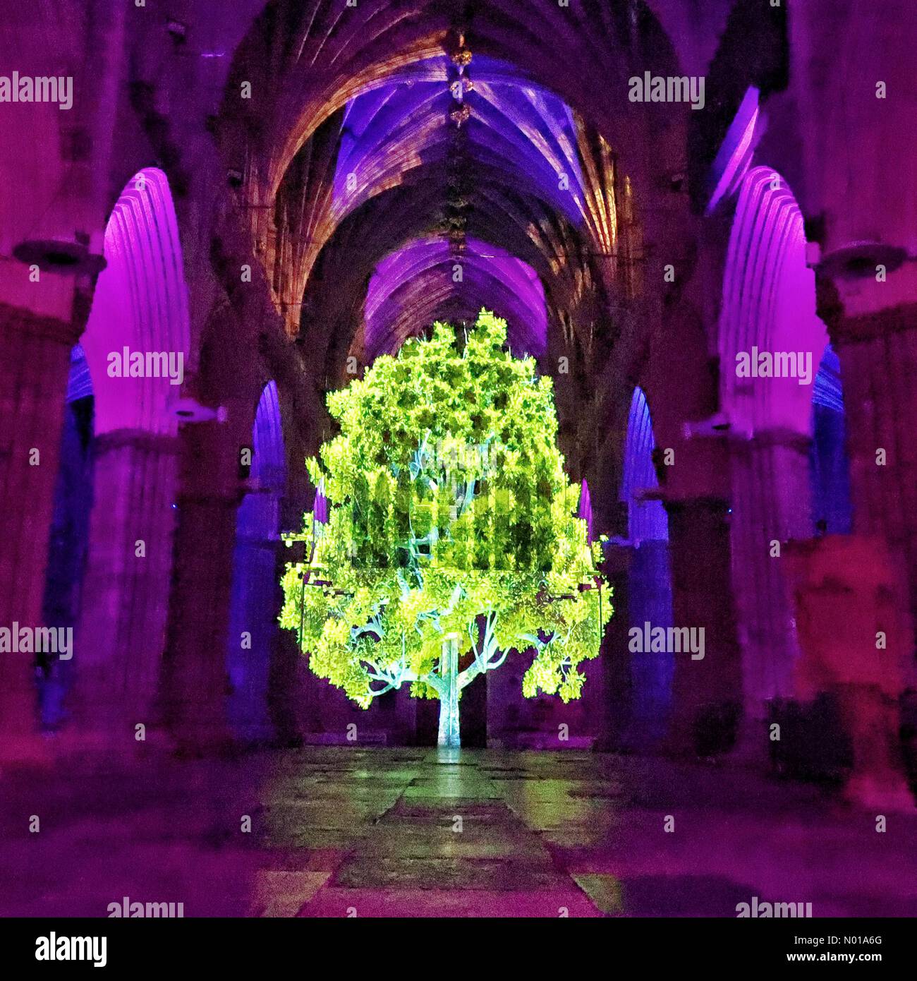 Exeter Cathedral, Devon, UK. 9th January, 2024. Luxmuralis Crown and Coronation a spectacular