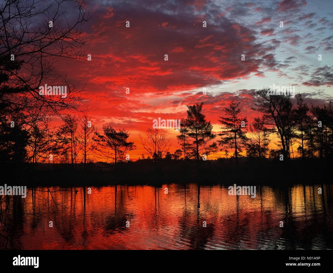 Godalming, Surrey. 28th Jan 2024. UK Weather: Sunrise over Thursley Common. Elstead Moat, Thursley. 28th January 2024. A frosty start to the day for the Home Counties. Sunrise over Thursley Common near Godalming, Surrey. Credit: jamesjagger/StockimoNews/Alamy Live News Stock Photo
