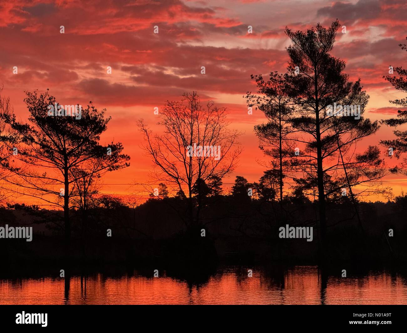 Godalming, Surrey. 28th Jan 2024. UK Weather: Sunrise over Thursley Common. Elstead Moat, Thursley. 28th January 2024. A frosty start to the day for the Home Counties. Sunrise over Thursley Common near Godalming, Surrey. Credit: jamesjagger/StockimoNews/Alamy Live News Stock Photo