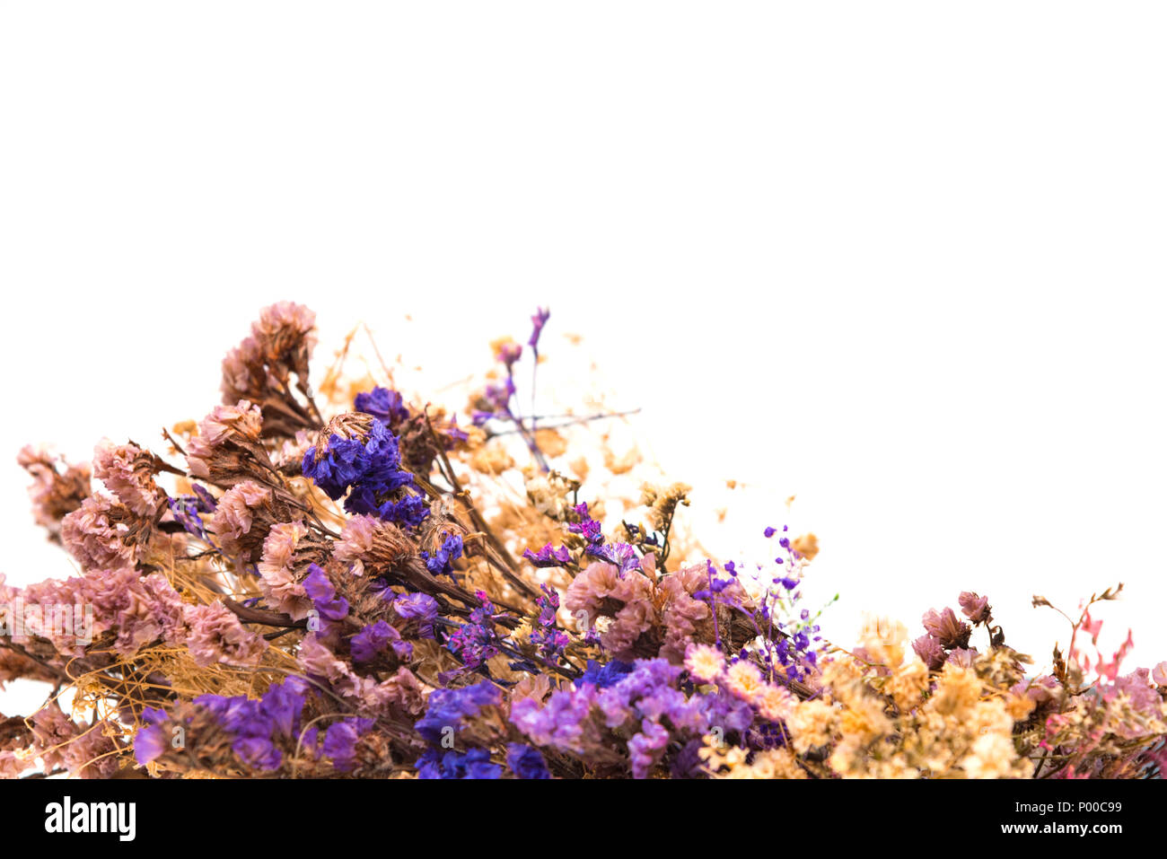 Summer colorful dry flowers isolated on white background Stock Photo ...