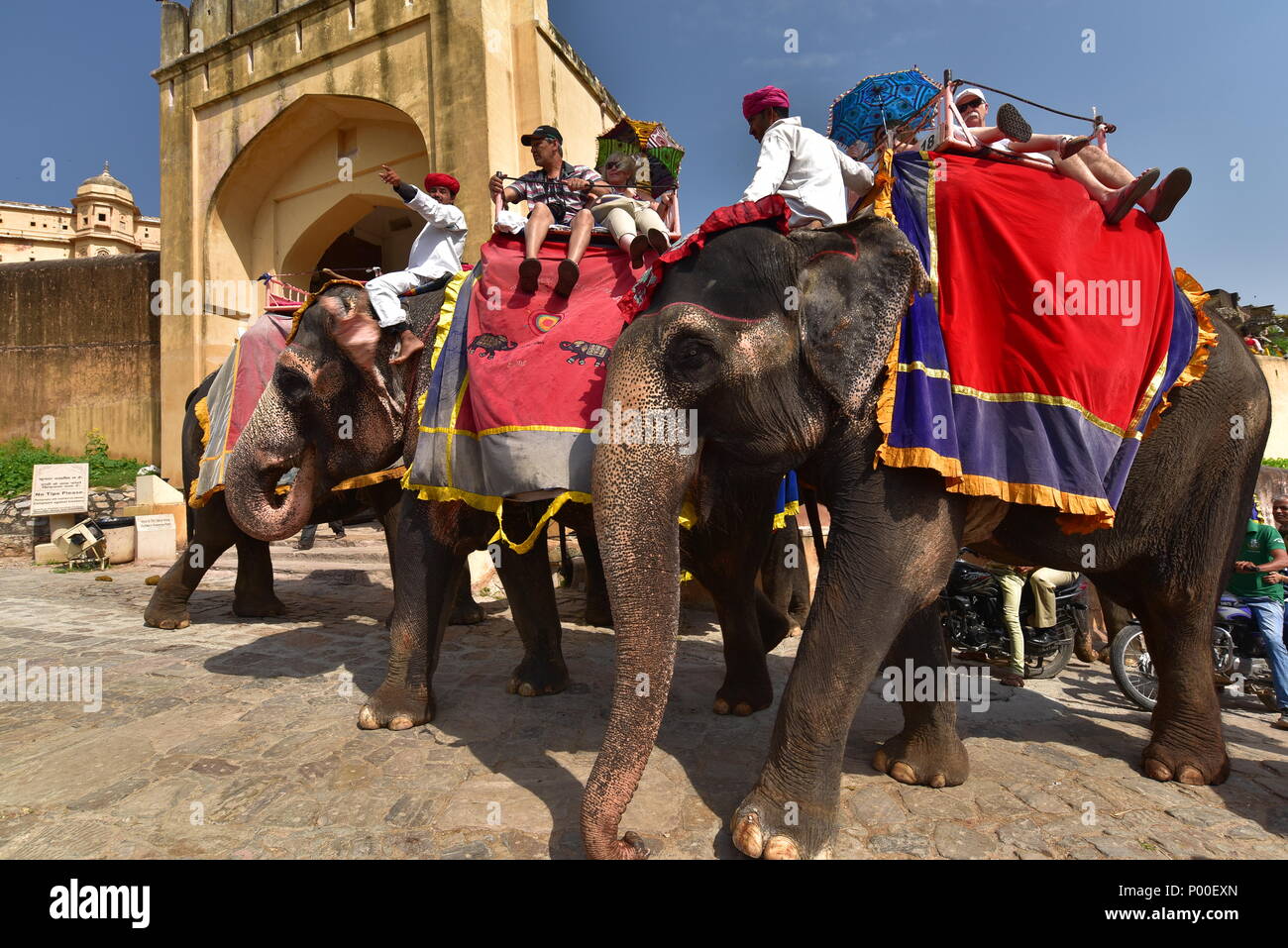 Elephant Riding at Amer Fort, Jaipur, India Stock Photo