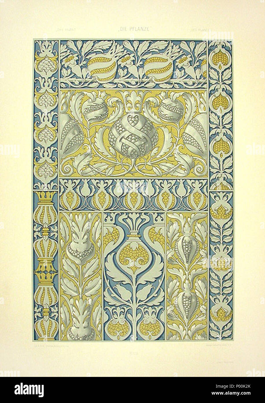 . English: Lithography by Anton Seder (1850–1916), Art Noveau Print 1890, title: Plant Bouquet  . 4 November 2008, 09:47:58. Anton Seder 370 Anton Seder Plant Bouquet Stock Photo