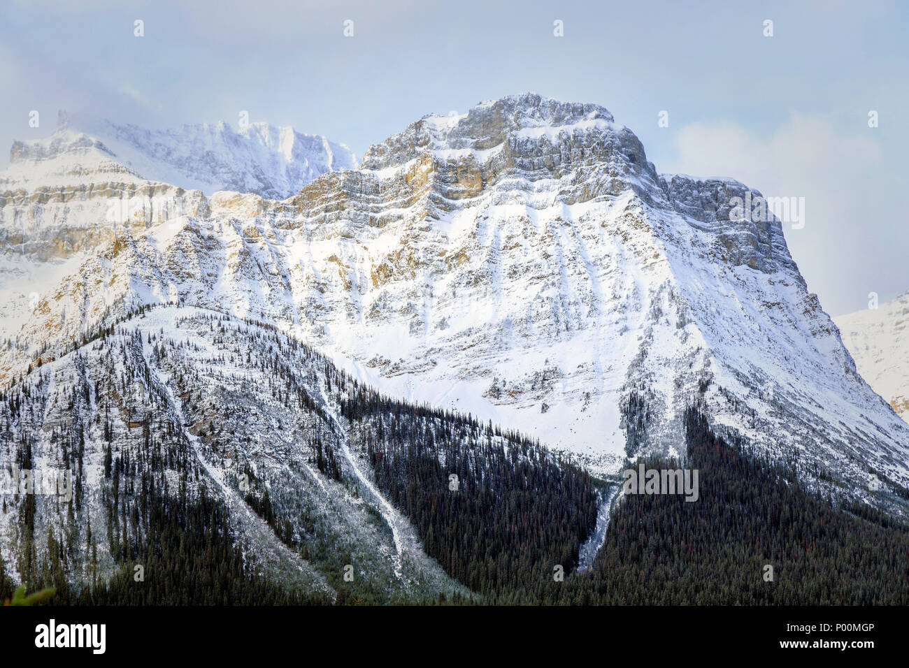 Mountains at Hector Lake, Banff National Park, Canada Stock Photo