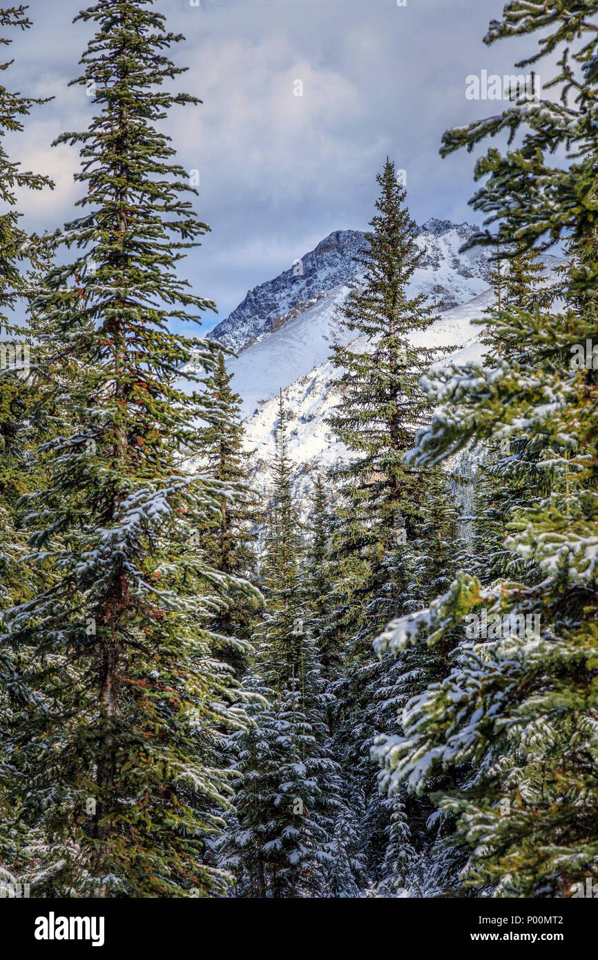 Snow at Peyto Lake, Banff National Park, Canada Stock Photo
