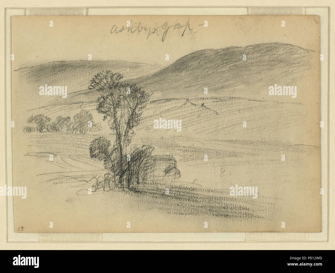 1 9 13 7 cm hi-res stock photography and images - Alamy
