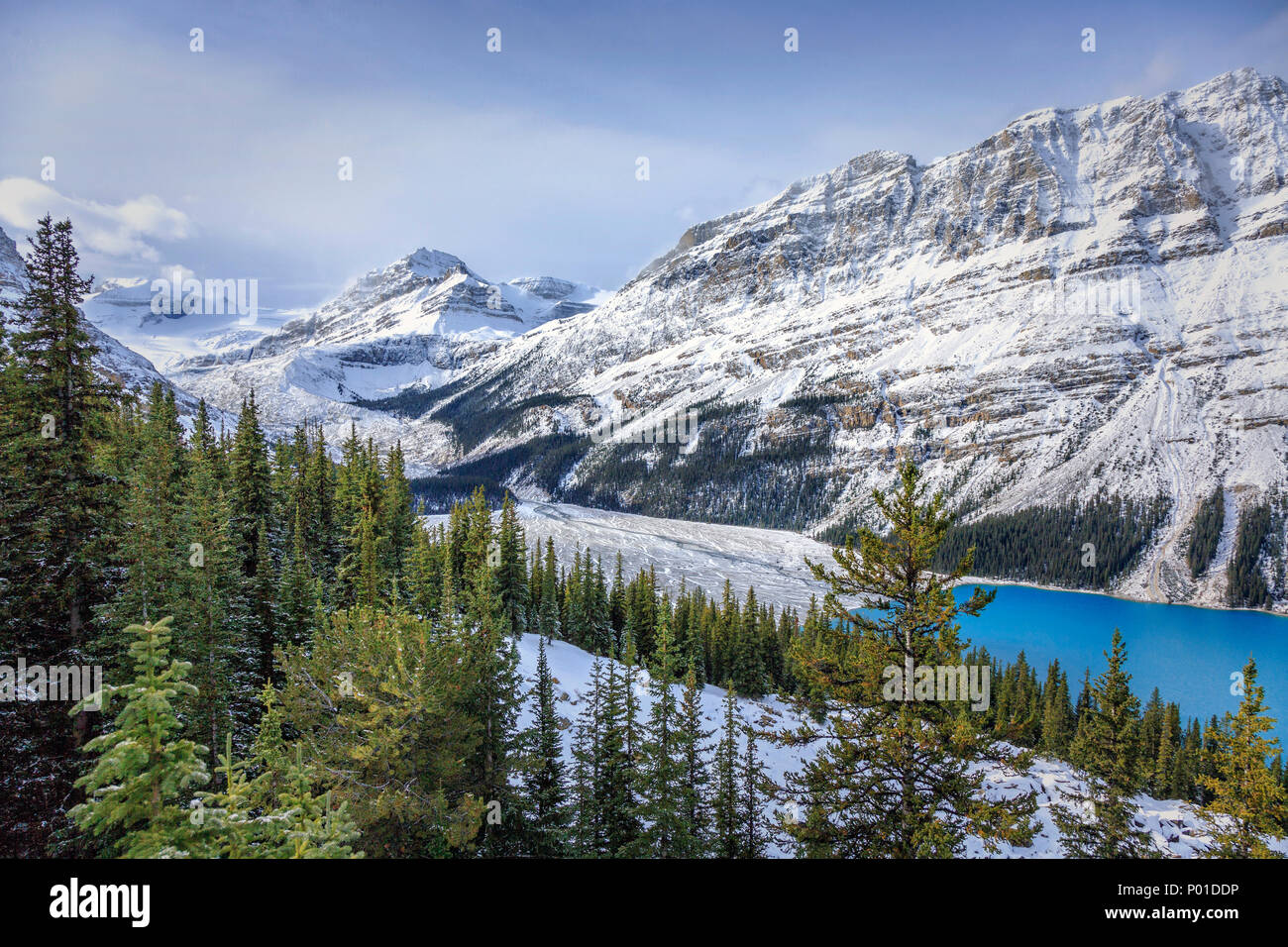 Peyto lake bow summit banff hi-res stock photography and images - Alamy